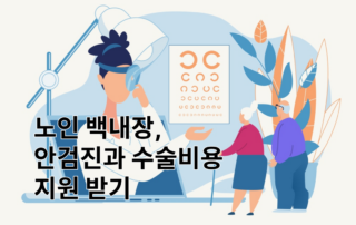 노인백내장, 백내장, 안검진, 수술비용지원, 65세이상, 65세복지, 만65세이상복지, 백내장지원금, 백내장수술지원금, 눈검사종류, 백내장수술종류, 개안수술종류, 백내장수술신청방법, 백내장수술지원금신청