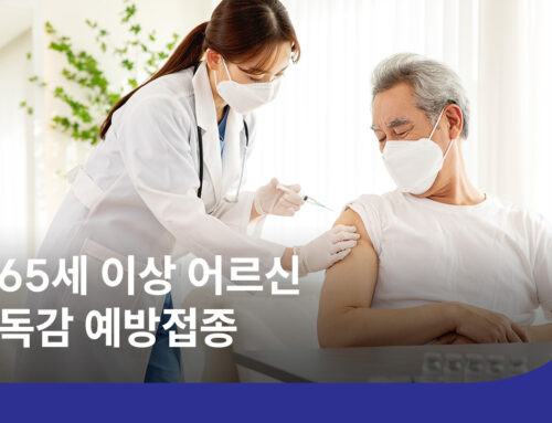 2026 독감 예방접종 5가지｜무료 대상·시기·비용·3가 백신 총정리